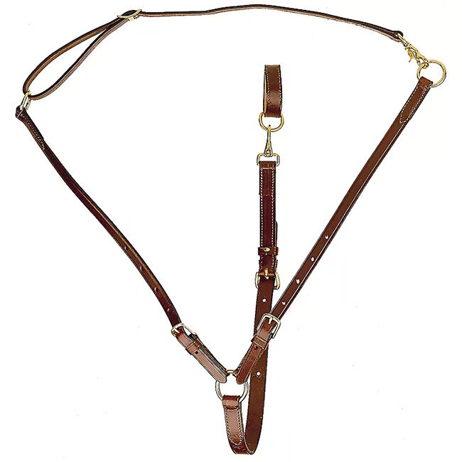 Tory Leather Training Martingale image number null