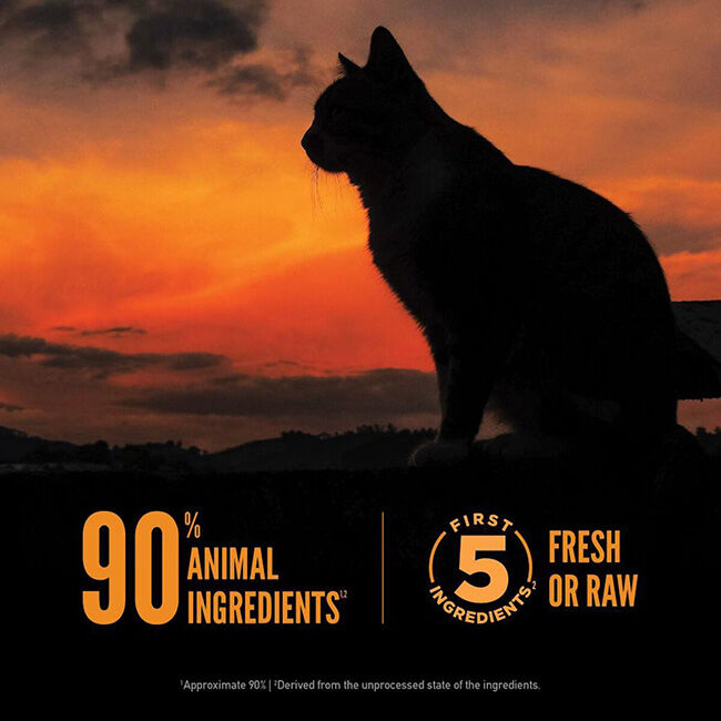 ORIJEN Wild Reserve Cat Food - Free-Run Chicken & Wild-Caught Fish Recipe image number null