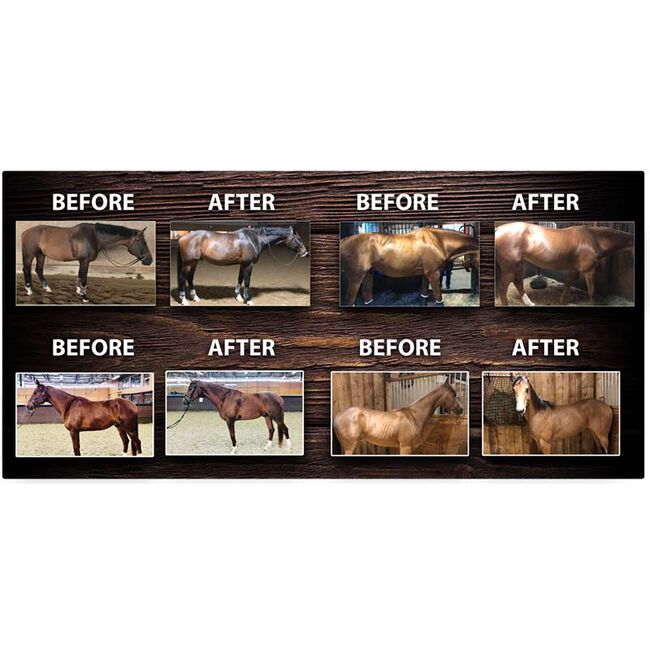 Finish Line Performance Builder - Muscle Supplement image number null