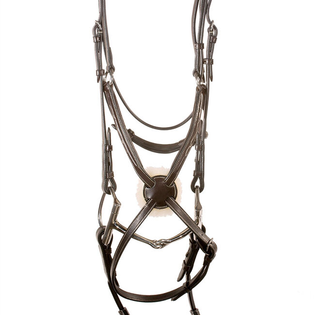 Nunn Finer Stefania Figure 8 Bridle image number null