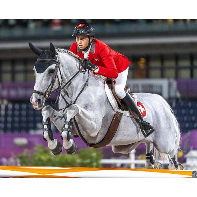 Breyer Clooney 51 image number null