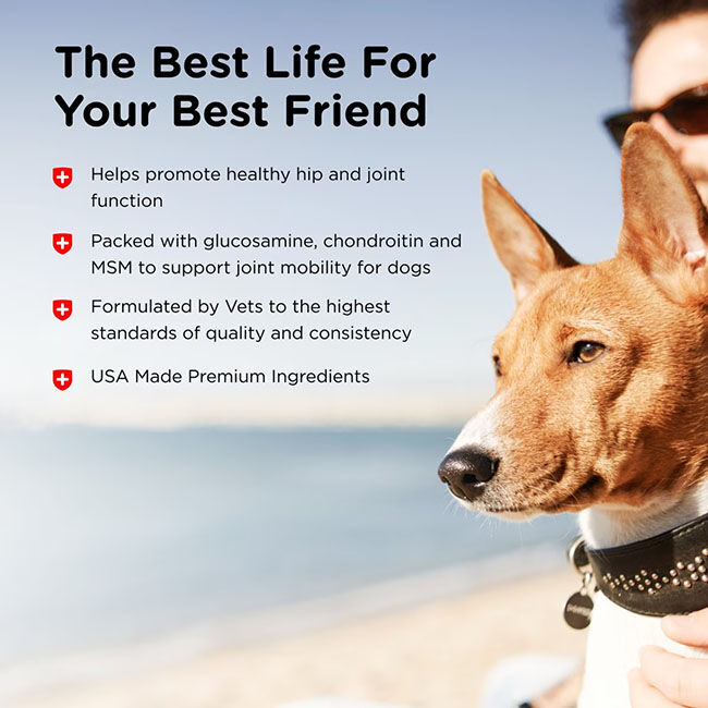 Nutri-Vet Advanced Strength Hip & Joint Chewables for Dogs image number null