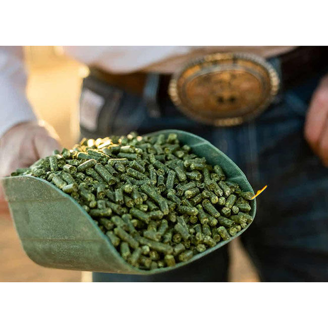 Standlee Teff Grass Pellets - 40 lb image number null