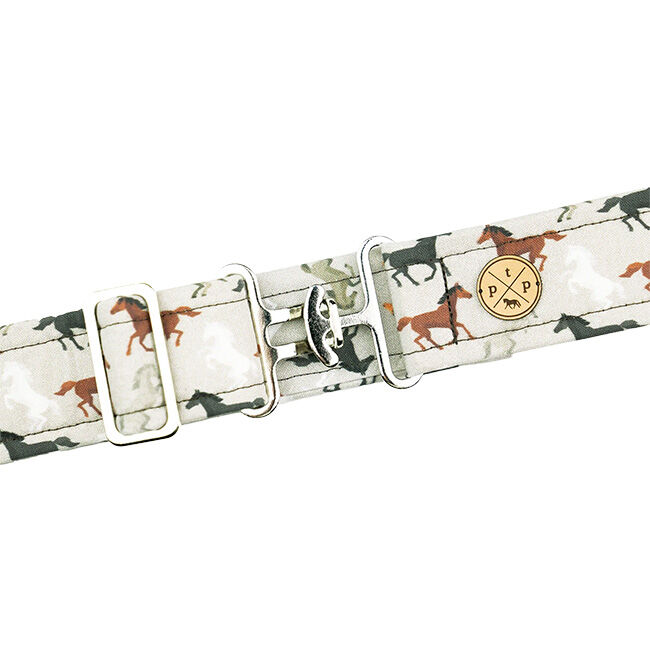 The Posh Pony Belt - Closeout image number null