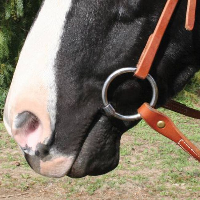 Professional's Choice Bob Avila Show Snaffle Bit image number null