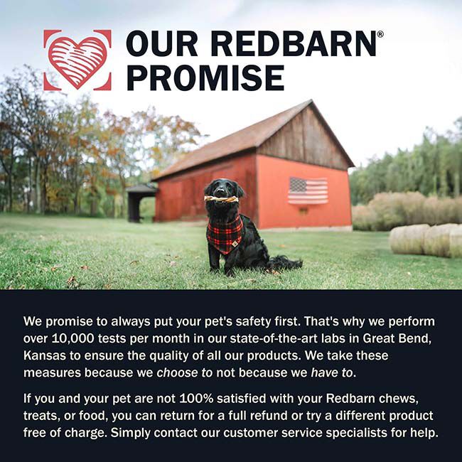 RedBarn Genty Air Dried Powerfood for Dogs - High Protein Chicken Recipe image number null