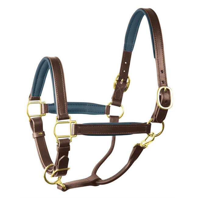 Perri's Leather Padded Leather Halter image number null
