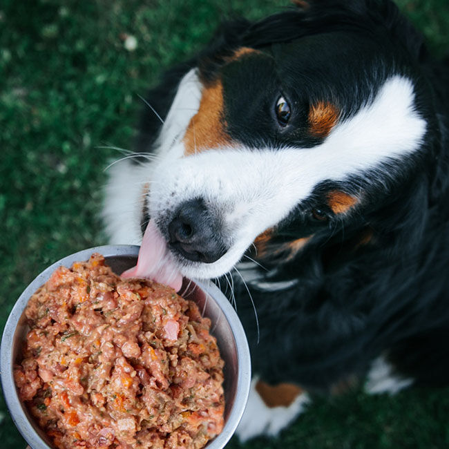 Oma's Pride Frozen Raw Chicken & Veggie Mix image number null