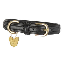 Shires Digby & Fox Padded Leather Dog Collar - Black