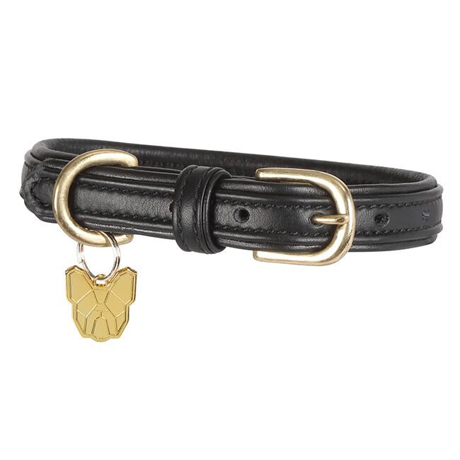 Shires Digby & Fox Padded Leather Dog Collar, Black image number null