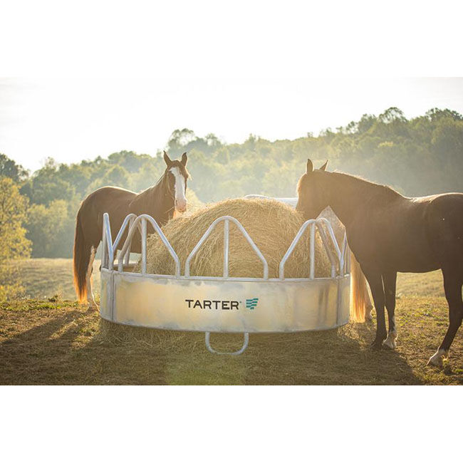 Tarter Galvanized Equine Pro Feeder With Hay Saver image number null