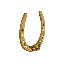 Horse Fare Brass Large Horseshoe Hook
