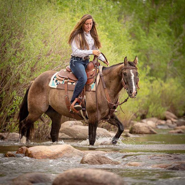 Weaver Equine Working Tack Extra Heavy Harness Leather Quick Change Reins image number null