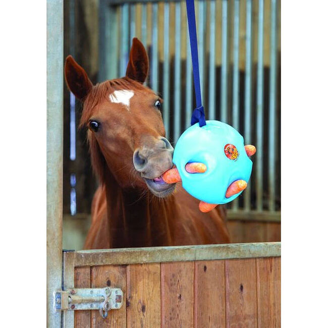 Shires Carrot Ball - Closeout image number null