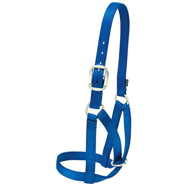 Weaver Barn Cow Halter image number null