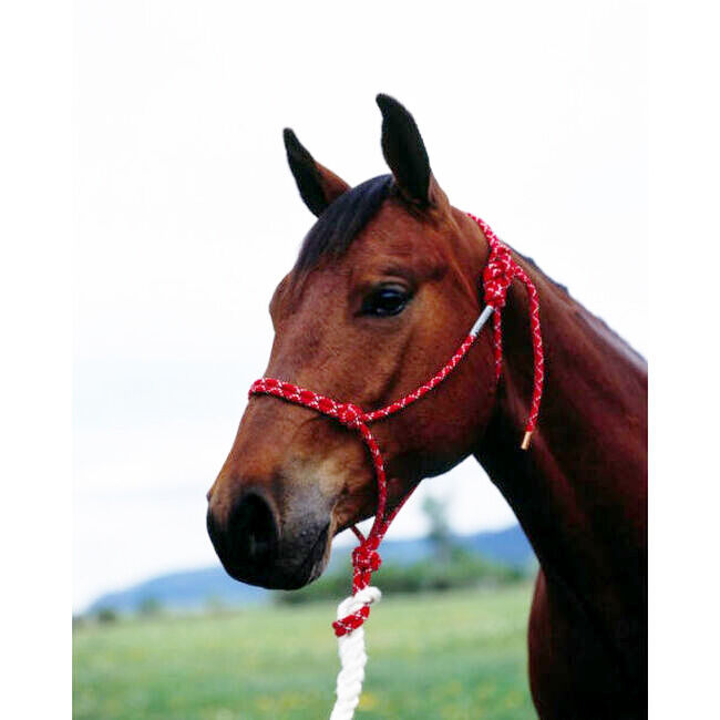 Double Diamond #100 Series Rope Halter image number null