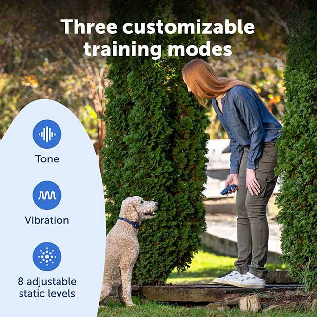 PetSafe Basic Dog Trainer with Remote image number null