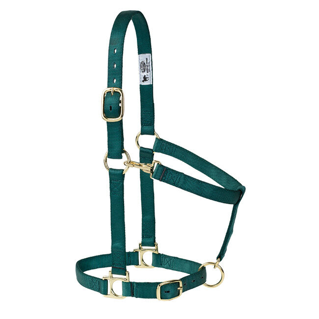 Weaver Equine Poly Adjustable Halter image number null