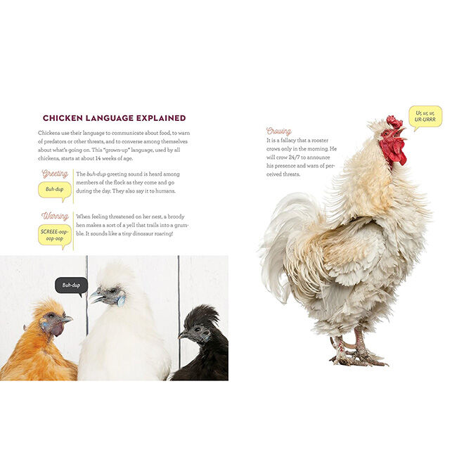 How to Speak Chicken: Why Your Chickens Do What They Do & Say What They Say image number null