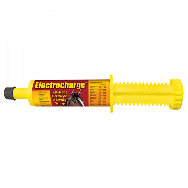 Finish Line Electrocharge - Fast-Acting Electrolyte Paste image number null