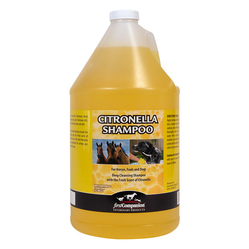 First Companion Citronella Shampoo The Cheshire Horse