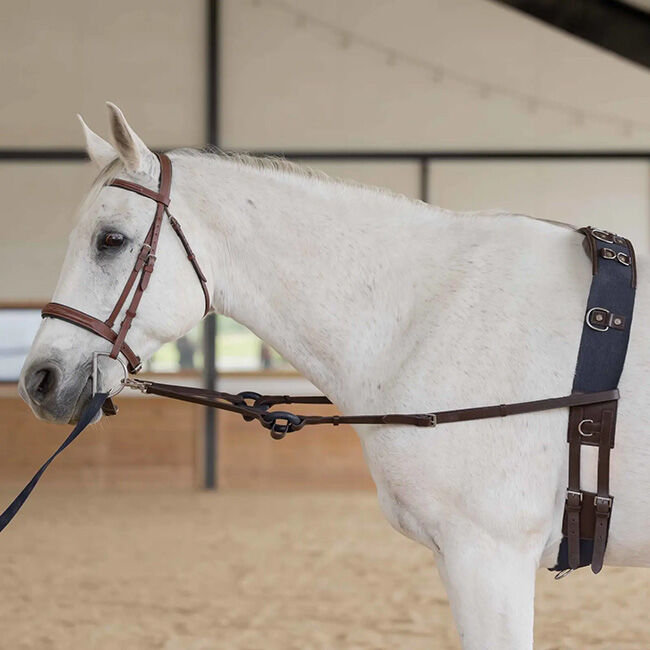 Equinavia Saga Lunge Surcingle - Chocolate Brown/Navy image number null