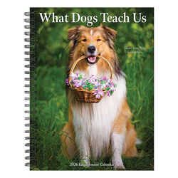 Willow Creek Press 2026 Engagement Calendar - What Dogs Teach Us