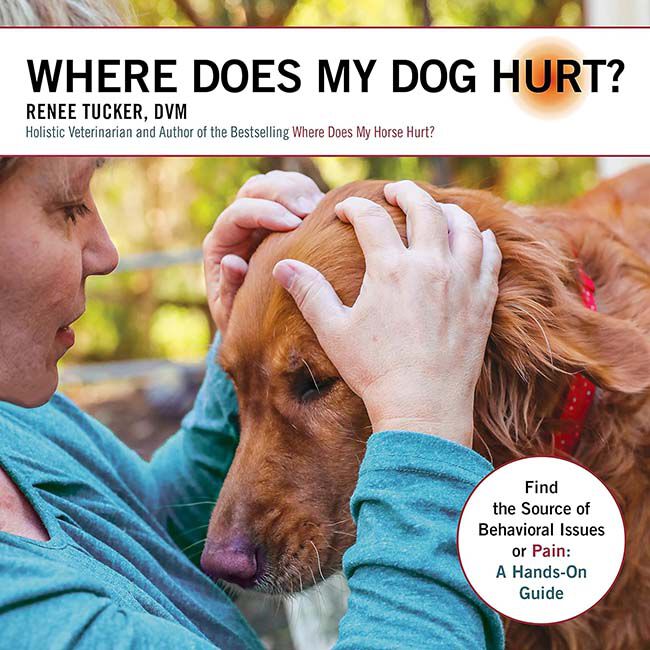 Where Does My Dog Hurt: Find the Source of Behavioral Issues or Pain: A Hands-On Guide image number null