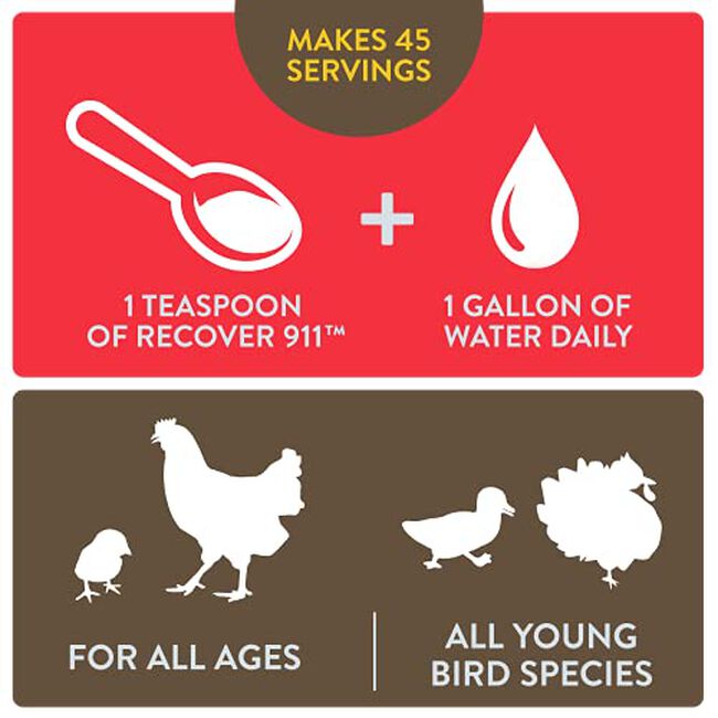 FlockLeader Recover 911 for Chickens image number null