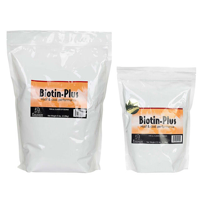 Paragon Biotin Plus image number null