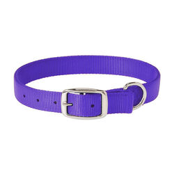 Weaver Equine Prism Classic Dog Collar - Closeout