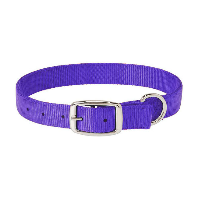 Weaver Prism Classic Dog Collar - Closeout image number null