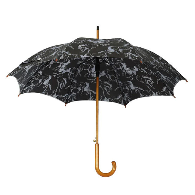 AWST International Umbrella image number null