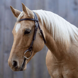 Shires Velociti Western Browband Headstall with Rawhide Knotting - Dark Oil