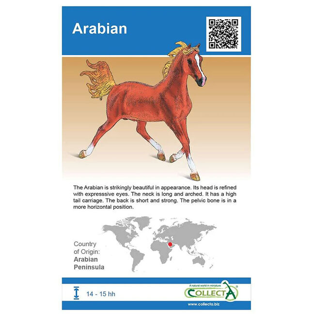 CollectA by Breyer Horse Blind Bag - Mystery Figure & AR Card image number null