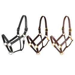 Tory Leather Triple Stitched Track Halter with Snap Throat and Adjustable Nose