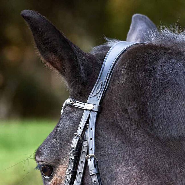 Kavalkade Ivette Patent Leather Dressage Bridle image number null