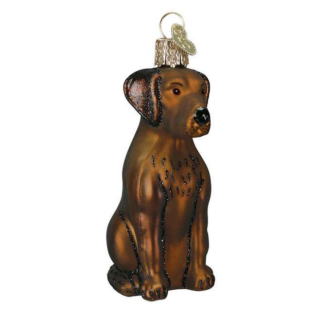 Old World Chocolate Lab Ornament  image number null