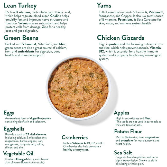 Portland Pet Food Company Grandma Ada's Turkey & Yams - Homestyle Holiday Dog Feast with Cranberries - 9 oz image number null