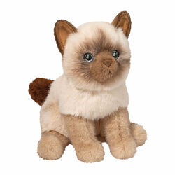 Douglas Fu the Siamese Cat