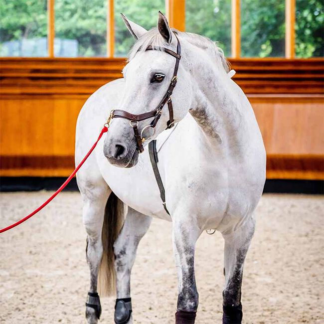 Horseware Rambo Micklem 2 Multi Bridle image number null