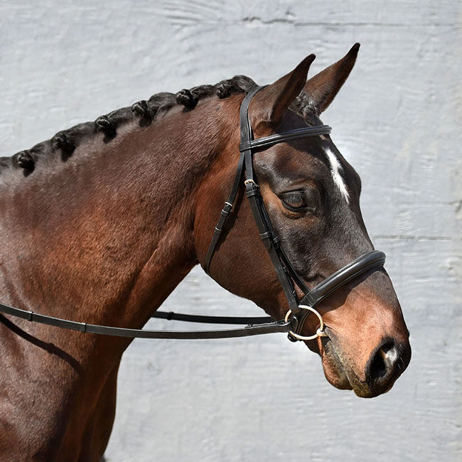 Bobby's Signature Series Padded Monocrown Dressage Bridle image number null