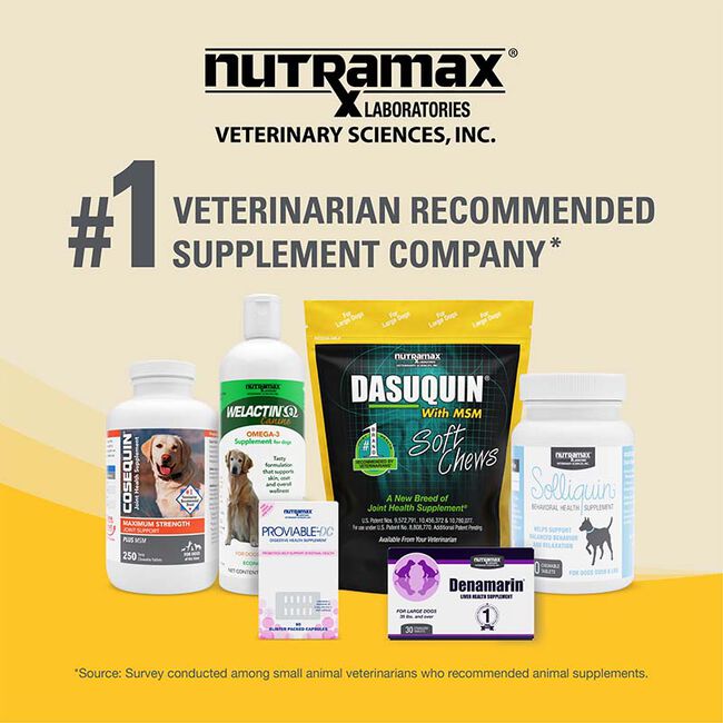 Nutramax Dasuquin Joint Health Supplement with Glucosamine