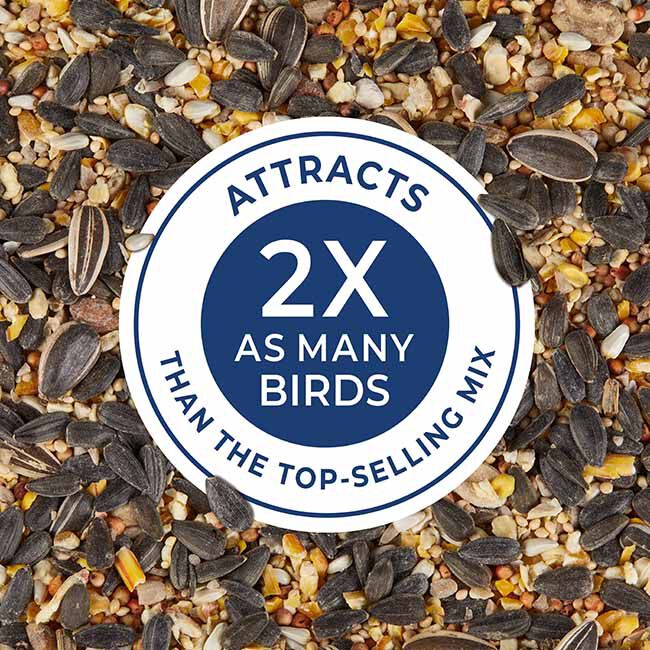 Kaytee Birders' Paradise Blend image number null