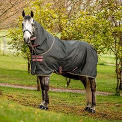 Horseware Amigo Hero Ripstop Plus Turnout (0g Light) - Shadow/Rose & Navy - Closeout