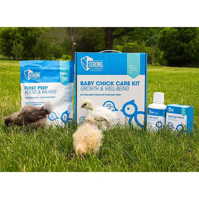 Strong Animals Baby Chick Care Kit image number null
