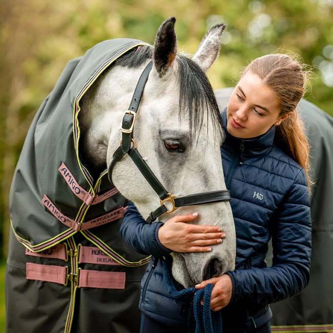 Horseware Amigo Hero Ripstop Plus Turnout (0g Light) - Shadow/Rose & Navy - Closeout image number null