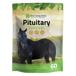 Silver Lining Herbs Pituitary Support for Horses - 1 lb