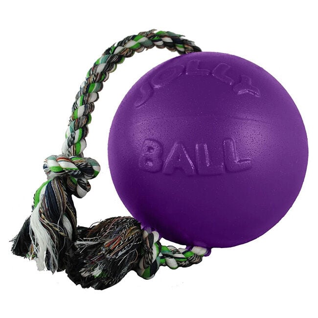 Jolly Pets Romp-N-Roll Dog Toy image number null