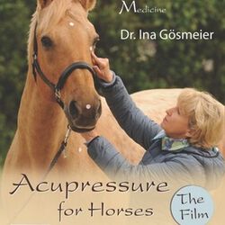 Acupressure for Horses: Basics, Types of Horses, Practical Uses